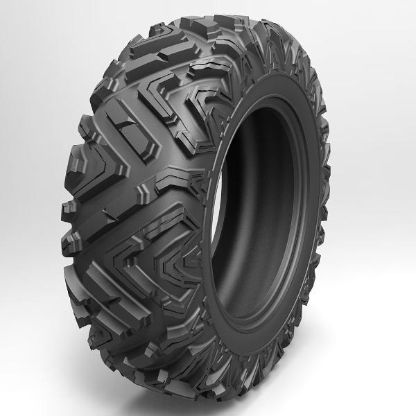 25x10 R12 6PR Arisun AR69